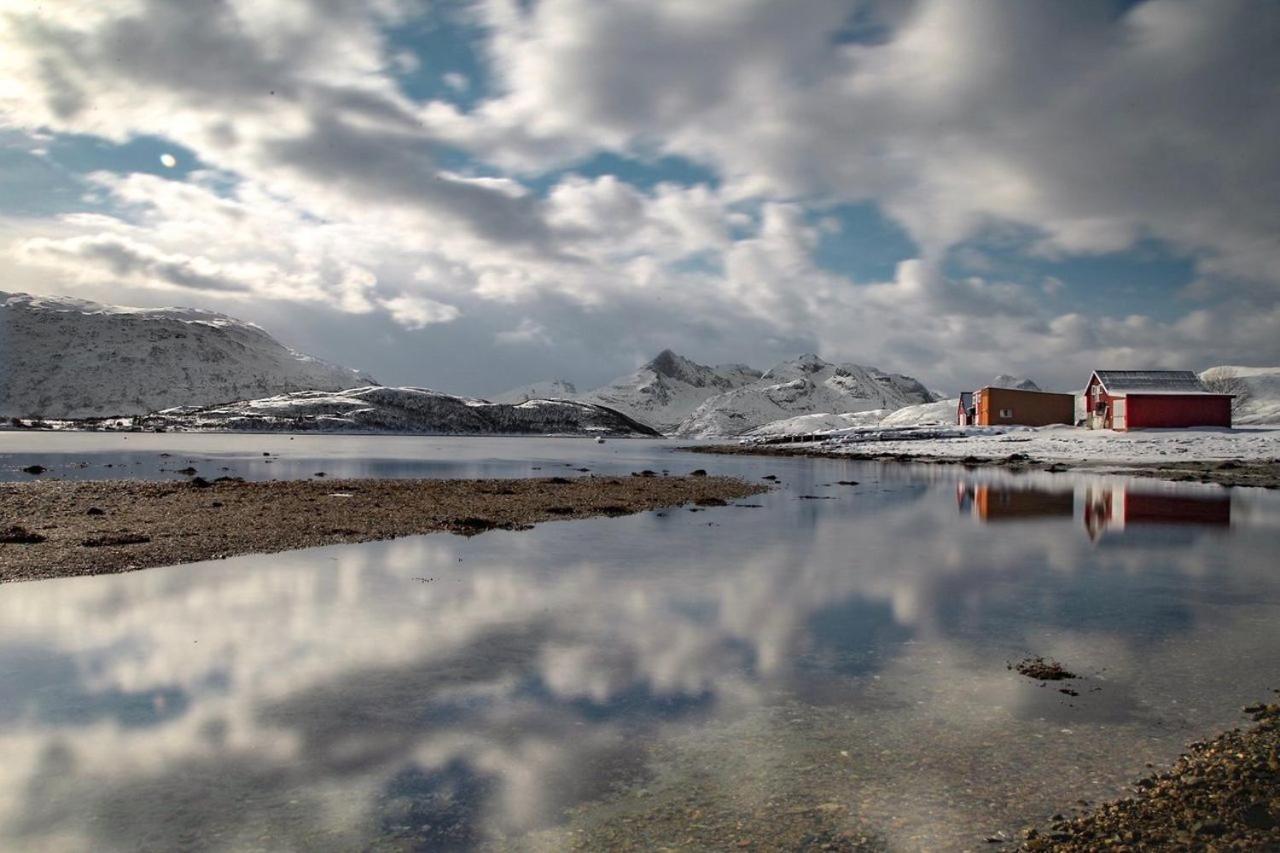Storjord Farmstay Ranchhouse Kvaloya Экстерьер фото