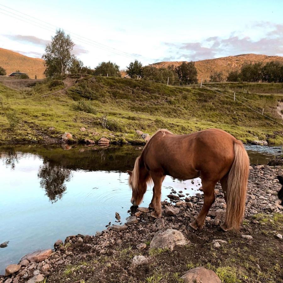 Storjord Farmstay Ranchhouse Kvaloya Экстерьер фото