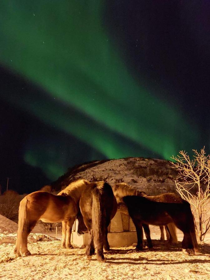 Storjord Farmstay Ranchhouse Kvaloya Экстерьер фото