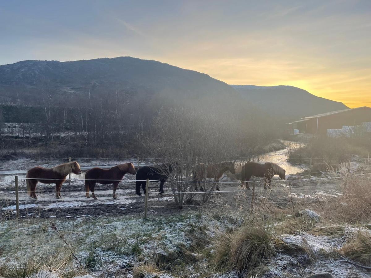 Storjord Farmstay Ranchhouse Kvaloya Экстерьер фото